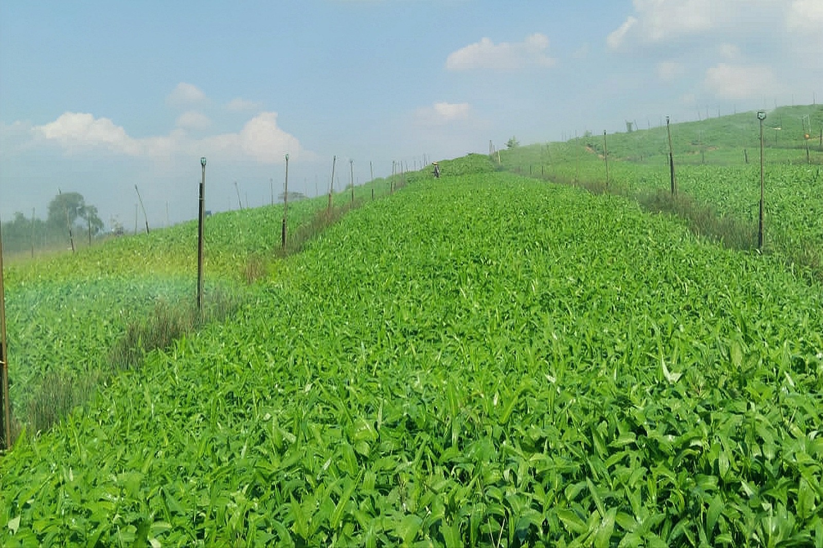 WhatsApp Image 2023-05-23 at 11.46.09 (1)