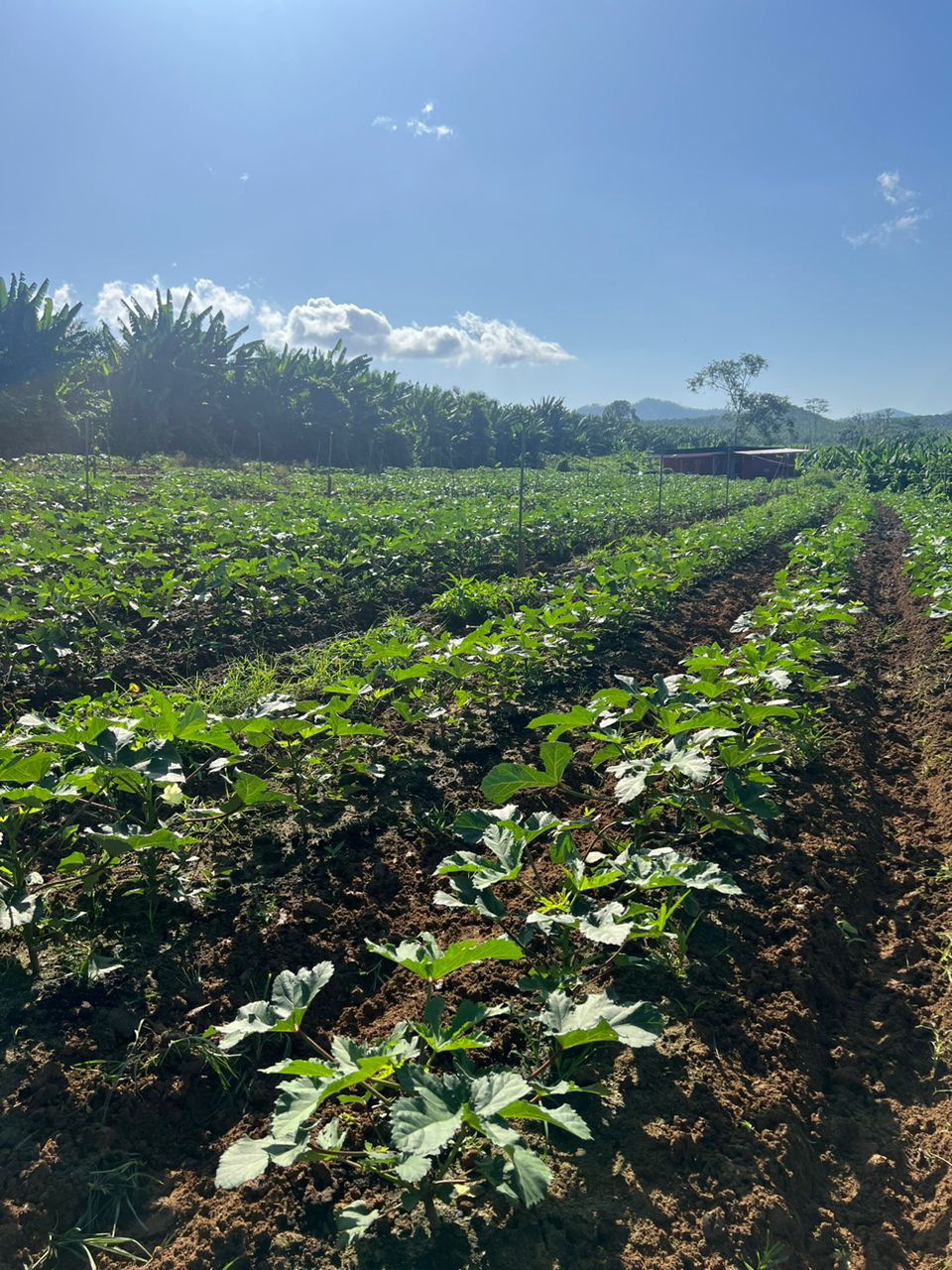 WhatsApp Image 2023-05-23 at 11.46.09 (2)