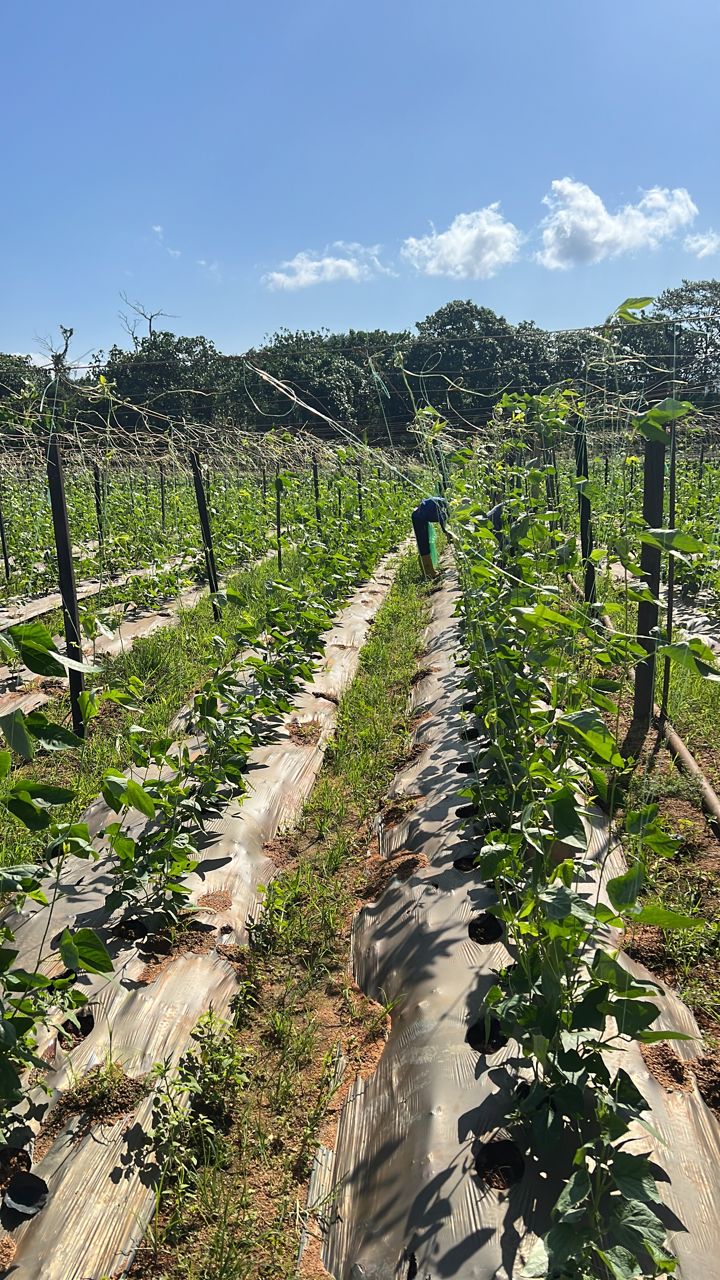 WhatsApp Image 2023-05-23 at 11.46.09 (5)