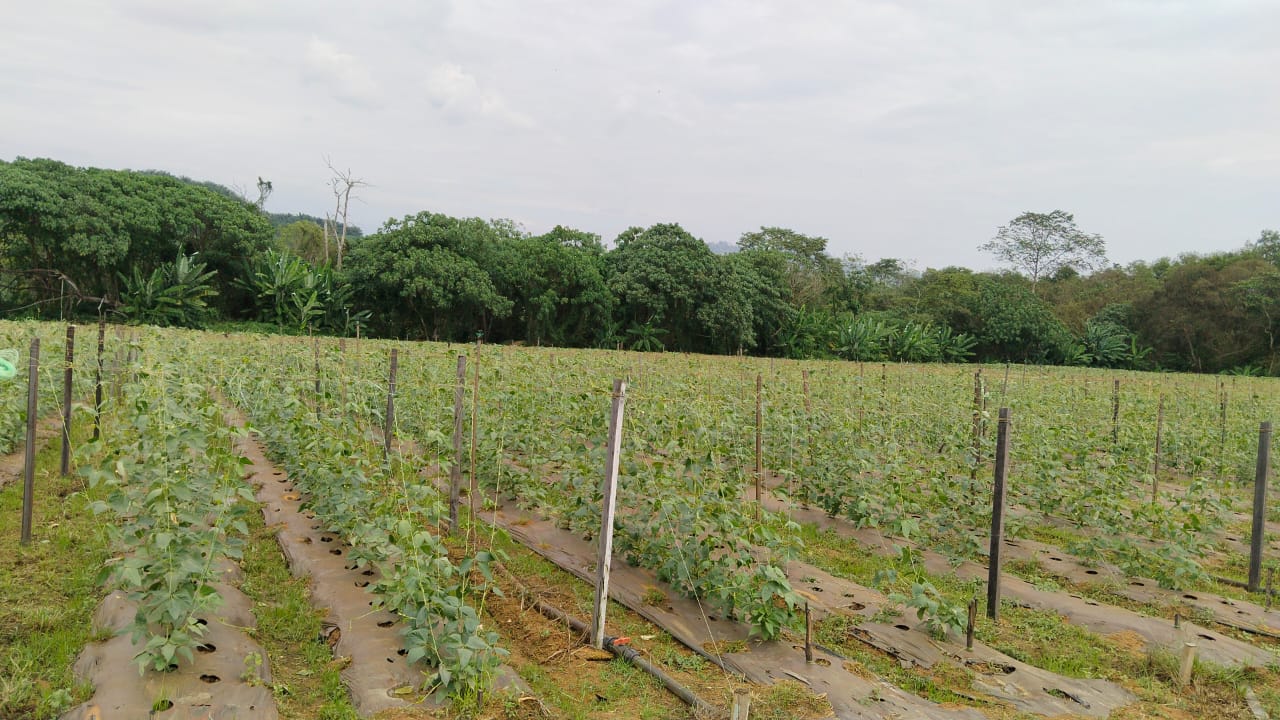 WhatsApp Image 2023-05-23 at 11.46.09 (6)