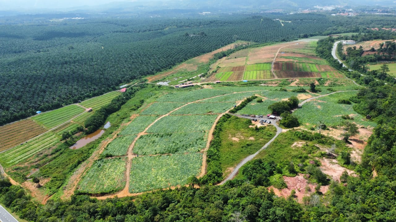 WhatsApp Image 2023-07-13 at 13.36.26 (1)